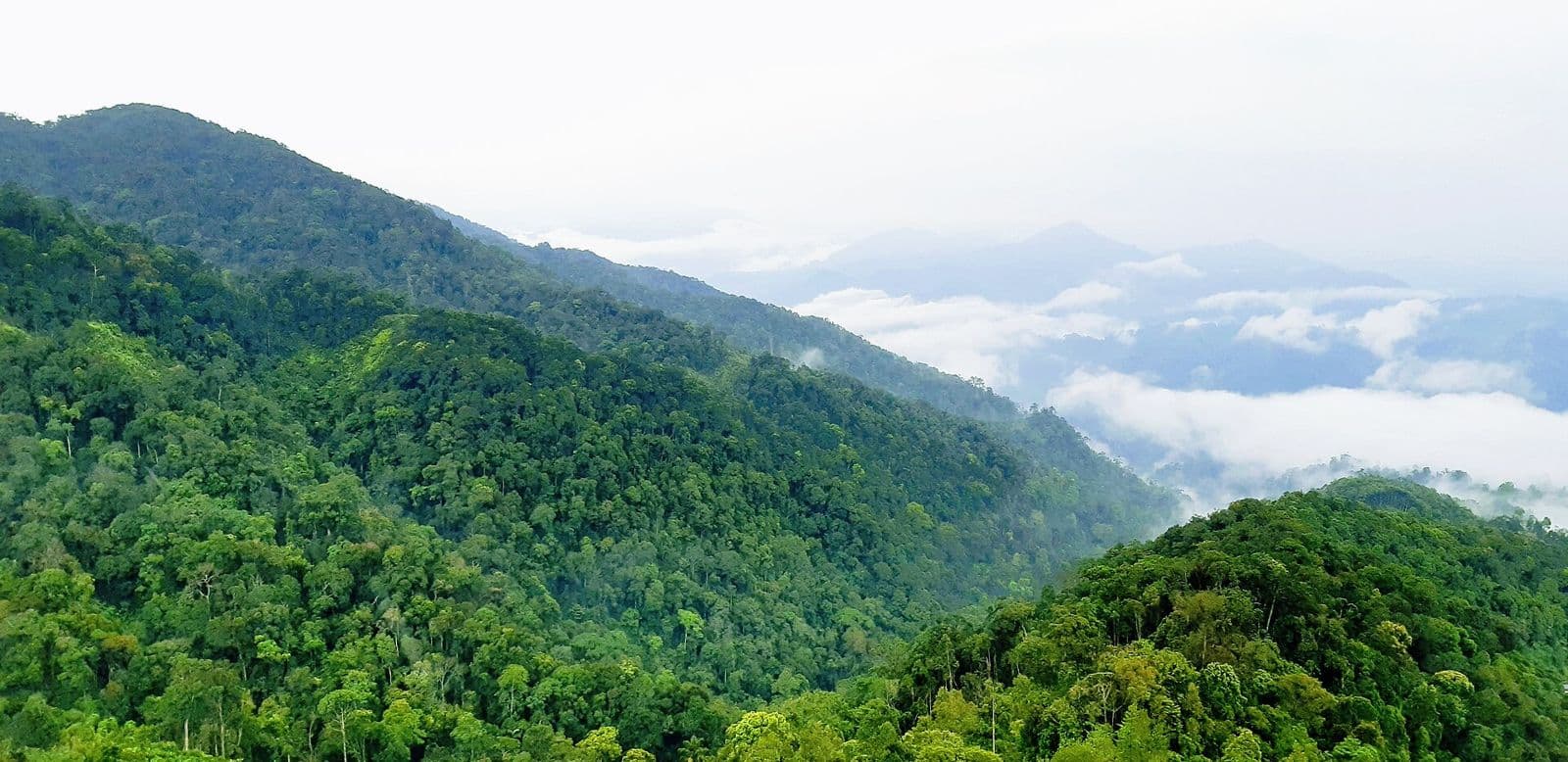 Best Scenic Supercar Drives Near Kuala Lumpur (Bukit Tinggi, Genting Highlands, Coast)