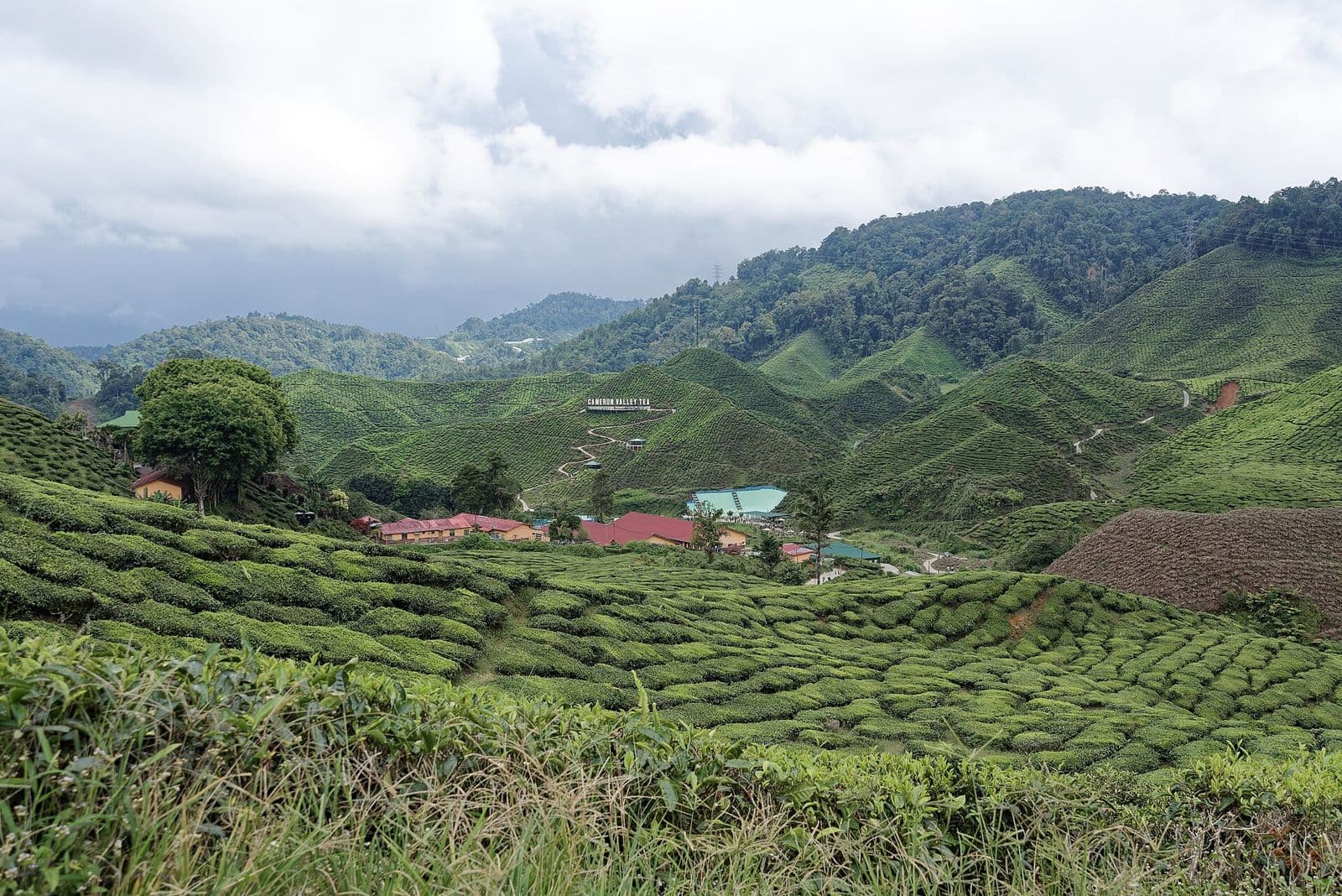 Best Supercar Drives from Kuala Lumpur: Genting, Karak & Cameron Highlands